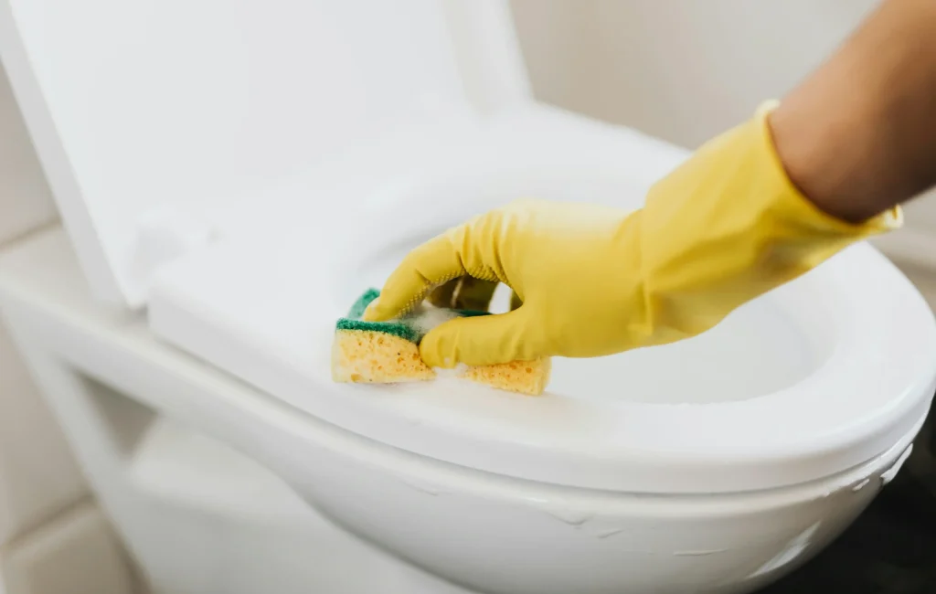 temizlik ürünleri tuvalet wc temizliği