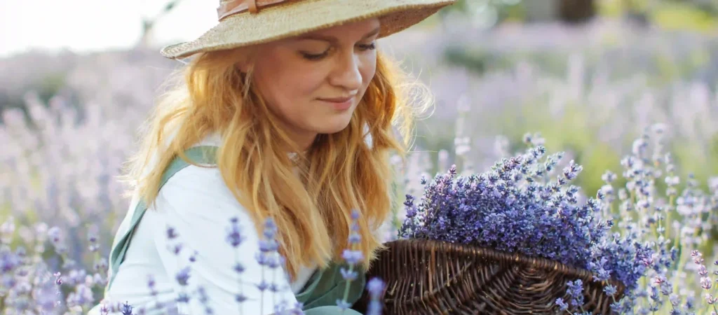 Lavanta ve Ortam Kokuları